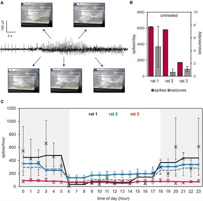 Perampanel Add-on to Standard Radiochemotherapy in vivo Promotes Neuroprotection in a Rodent F98 Glioma Model